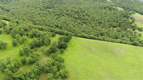 4K航拍山坡草地树林视频素材,延时摄影视频素材下载,高清3840X2160视频素材下载,凌点视频素材网,编号:654620