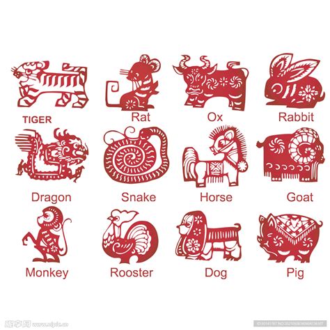 看图找生肖图片