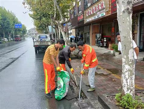 雷甸镇 朱伟