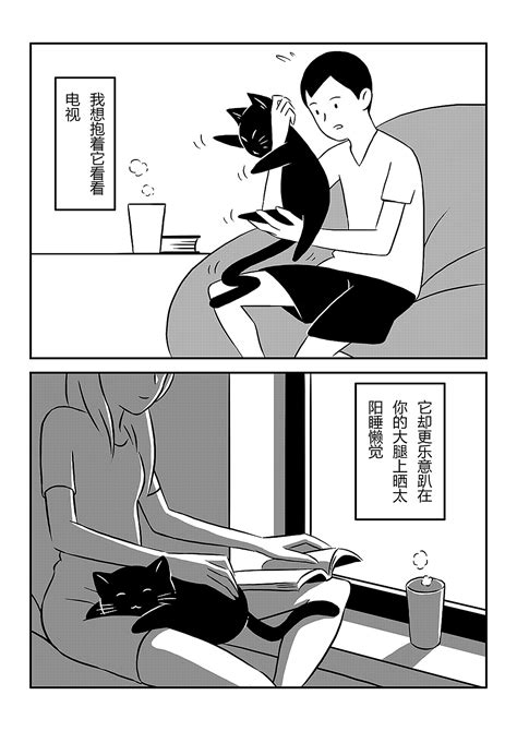 她和他的猫|动漫|短篇/四格漫画|5ming - 原创作品 - 站酷 (ZCOOL)