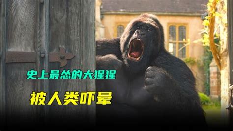 《金刚》猩猩大战三只霸王龙，果然还是有手的一方比较厉害_腾讯视频