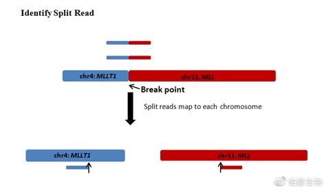 量身打造！RNA-Capseq更适合临床融合基因检测 | 经典文献分享__凤凰网