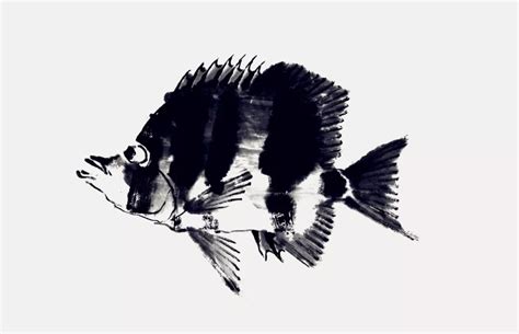 国画鱼的画法-露西学画画