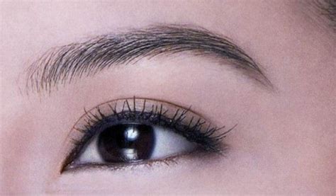 女人的眉形有多少种 眉形的种类和画法