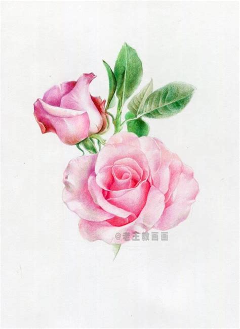 一朵玫瑰花代表什么 —【发财农业网】