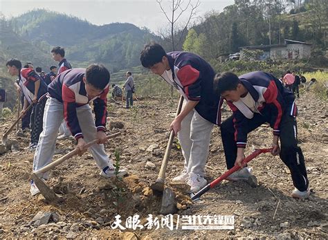 册亨县坡妹镇：“小林长”积极参与义务植树为家乡添新绿