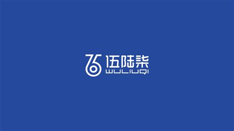 伍陆柒科技公司logo设计/南京本地设计公司_何胜何-站酷ZCOOL