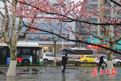 你期待的雨终于来了，武汉最高气温将降至“2”字头_要闻_新闻中心_长江网_cjn.cn