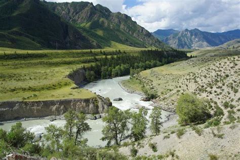 阿尔泰山 河 景观 性质 河岸边 夏季 天空 西伯利亚图片免费下载 - 觅知网