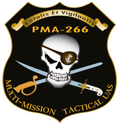 VMM-266 (Rein.) returns from deployment > United States Marine Corps ...