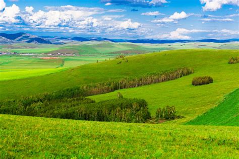 中央民族大学内蒙古土地利用数据技术服务-地理遥感生态网
