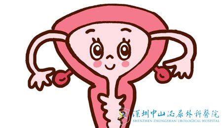 一起来看看子宫后位是怎么一回事-深圳中山泌尿外科医院