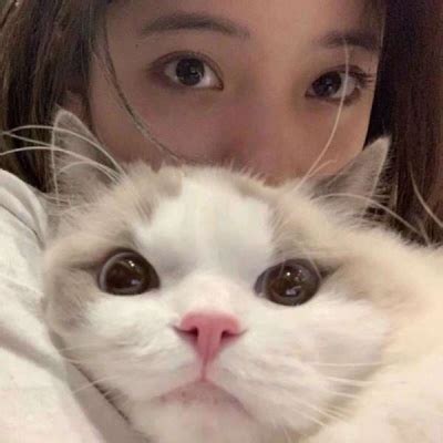 温柔头像女生抱着猫咪