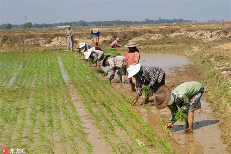 农民手中的地越来越值钱？农村土地改革试点,每亩地 II0万__凤凰网