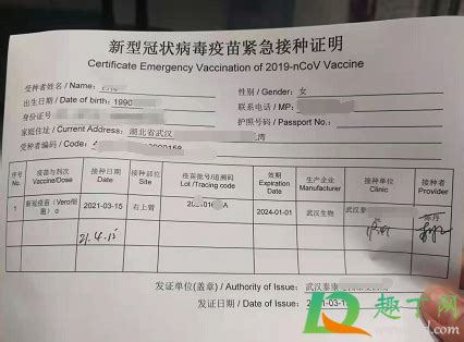 武汉新冠疫苗接种记录哪里可以查2021-新冠疫苗接种证明怎么开呀-趣丁网
