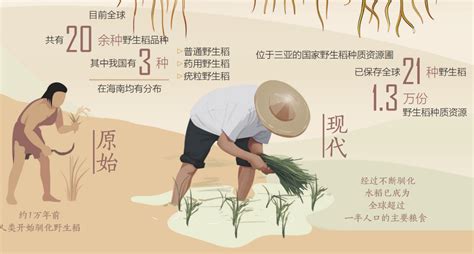 2008-2018年我国杂交水稻种子制种面积及库存量_观研报告网