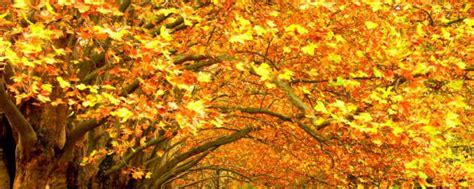 迷人的秋天作文400字_关于写景的作文 - 我爱作文网