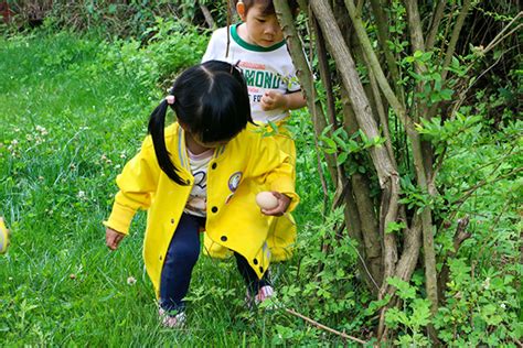 二龙湖劳动实践基地丛林捡鸡蛋项目-云南山谷枫