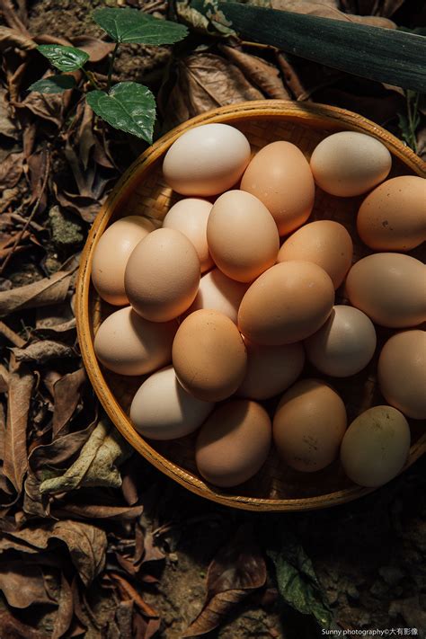 土鸡蛋丨土鸡蛋代理