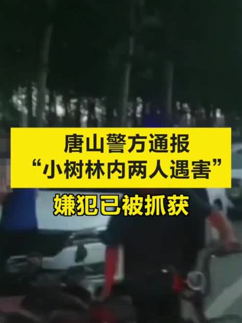 唐山警方通报“小树林内两人遇害”：嫌犯已被抓获_手机新浪网