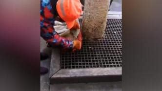 广西河池一男婴被遗弃在垃圾桶旁，生母已找到涉嫌遗弃罪_七环视频_澎湃新闻-The Paper