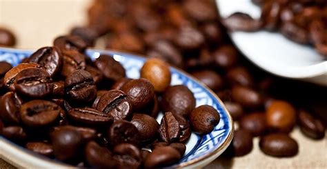 曼特宁咖啡介绍，曼特宁咖啡口感如何 中国咖啡网