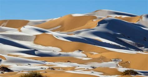 新疆塔克拉玛干沙漠迎来罕见强降雪【8】--图片频道--人民网