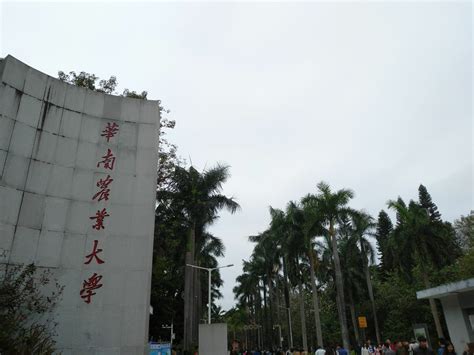 直播预告|7月27日，锁定华南农业大学材料与能源学院2021年研究生招生直播咨询会！-掌上考研