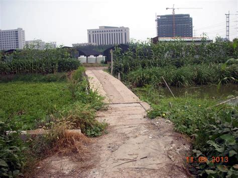 上海市浦东新区康桥运动公园极限运动场-大丰友邦极限运动场地建设有限公司