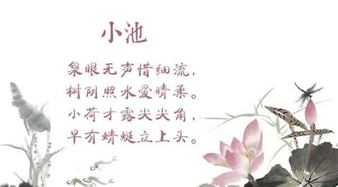 杨万里是哪个朝代的诗人(南宋杨万里最知名的诗句：“小荷才露尖尖角，早有蜻蜓立上头”) | 说明书网