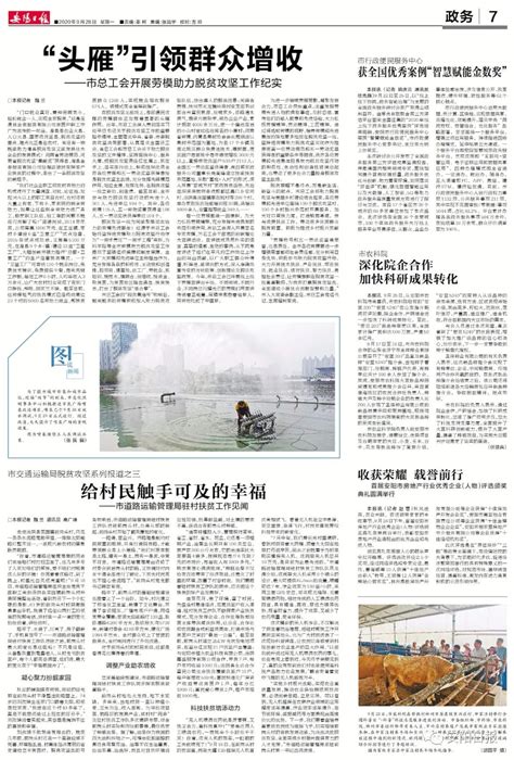 安阳公交发布最新线路表，请收藏~_澎湃号·媒体_澎湃新闻-The Paper