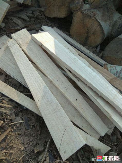出售桐木规格板 - 批木网