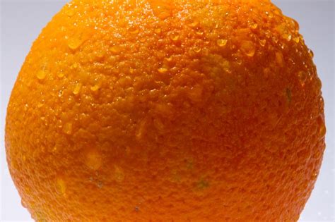 橙子竟然是柚子和橘子的杂交品种|杂交|橙子|柚子_新浪新闻