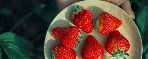 为什么草莓放久一点软了以后会更甜 - 业百科