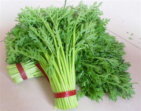 帝王菜又名“独菜”_[标签:标题1]