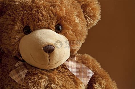 朋友好心爱的泰迪熊单身微笑玩具高清图片下载-正版图片307921825-摄图网