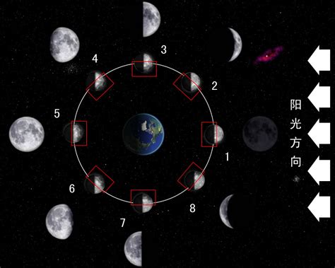 今日月相图图片