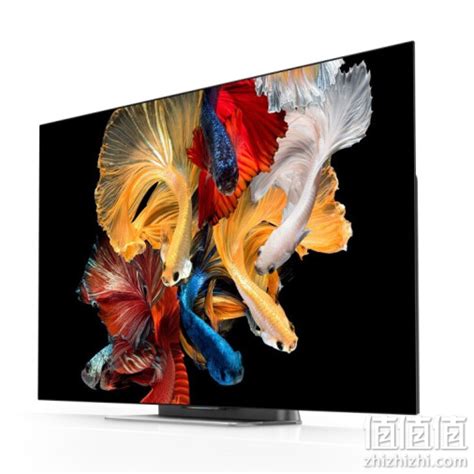 OLED电视机哪个牌子好（全文）_索尼 XR-55A80J_电视导购-中关村在线