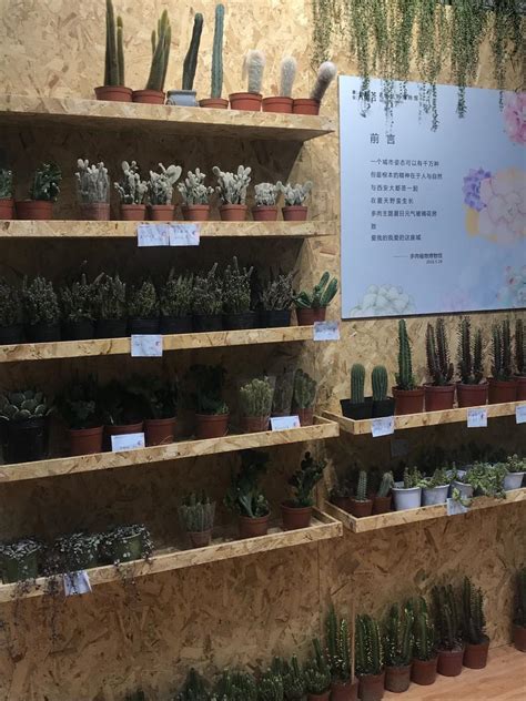 园艺园林学院举办多肉植物展-长江大学新闻网