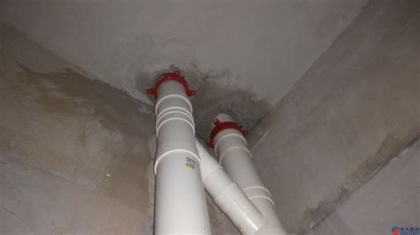 卫生间下水管周围漏水是什么原因 - 优久防水百科