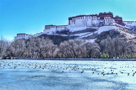 冬天去西藏怎么样? 需要注意什么?|白雪|西藏|拉萨_新浪新闻