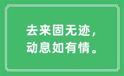 张信哲演唱【用情】1997 陈家丽词 薛忠铭曲-通俗唱法歌曲谱 - 乐器学习网