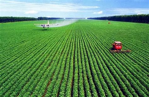 中国未来农业发展前景分析：五大趋势蕴含无限潜力_智慧农业-农博士农先锋网