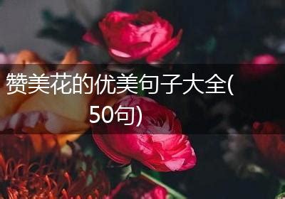 花的寄语唯美句子 赞美花的优美短句_句子豆