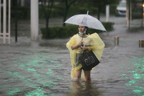田东强降雨致农作物被淹-广西高清图片-中国天气网