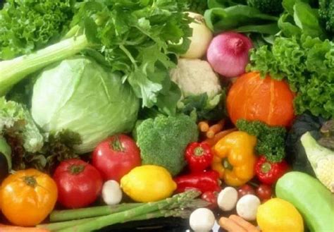 临沂同德农业科技开发有限公司 - 常吃有机蔬菜对人体的好处