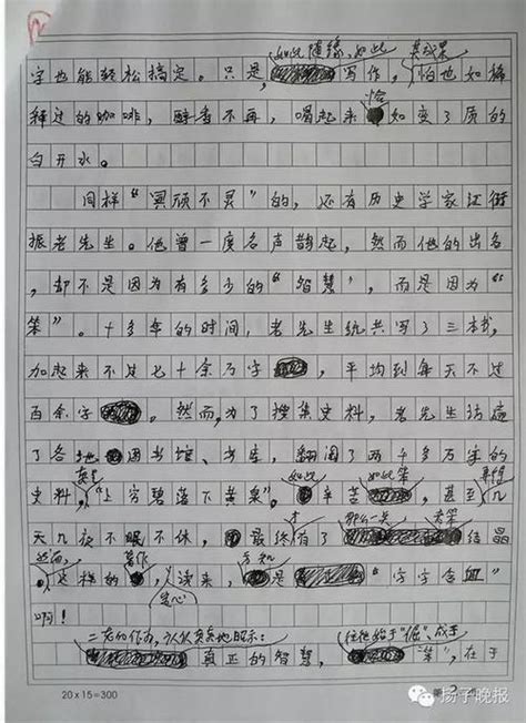 小学三年级优秀日记150字(十篇)Word模板下载_编号lpxaxmyo_熊猫办公