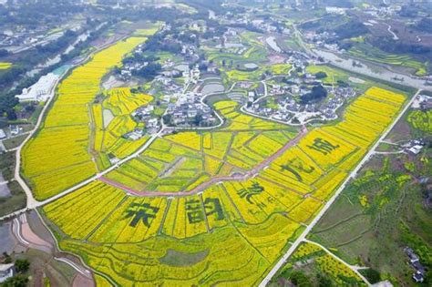四川泸州：智慧农业助力乡村振兴-人民图片网