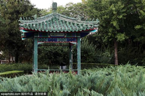 北京昌平某办公小院景观设计-北京景通园林古建工程有限公司