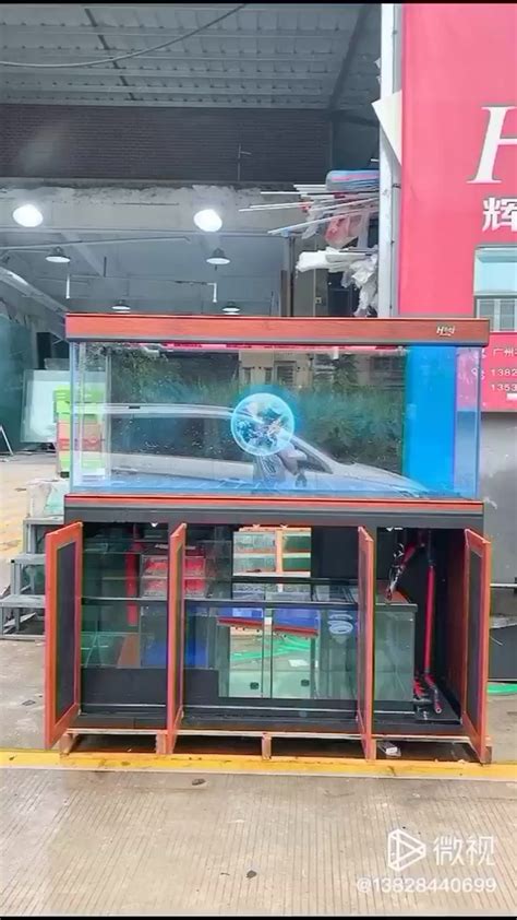 新乡水族馆锦鲤缸 - 野生埃及神仙鱼 - 广州观赏鱼批发市场